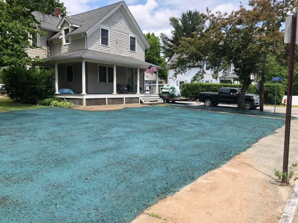 Hydroseed coverage across a residential front yard