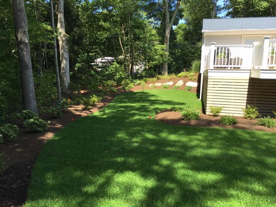 Finished backyard lawn bordered by trees and planting beds